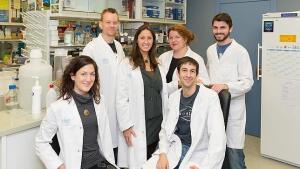 Demuestran que inhibiendo una proteína se frena el tumor cerebral más agresivo