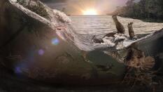 Hallan a las primeras víctimas del meteorito de los dinosaurios: murieron el mismo día