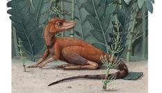 Descubren un antepasado de los dinosaurios que cabe en una mano humana