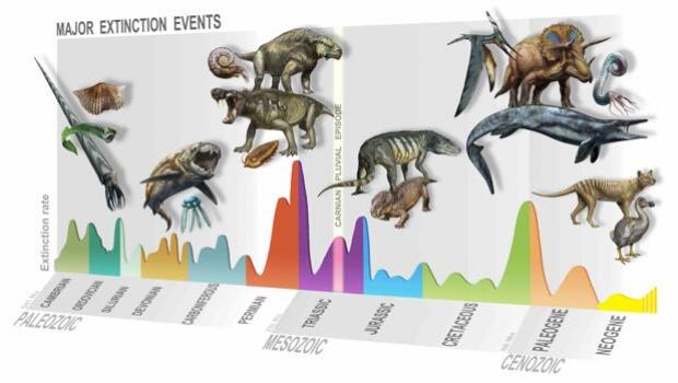 Identifican una sexta gran extinción masiva, la que impulsó el reinado de los dinosaurios
