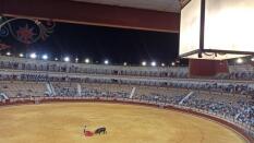 El querer de Perera y las caras verónicas de Rufo en la feria del recibo de la luz