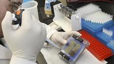 Los test prenatales no invasivos pueden detectar precozmente el cáncer en la madre 