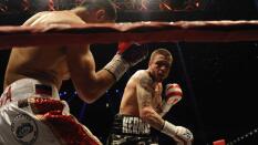 País Vasco consulta a Andalucía por un combate de boxeo en el que pudieron contagiarse varios jóvenes vascos