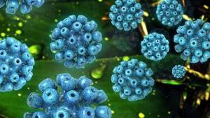 La hepatitis es uno de los mayores problemas en personas con VIH