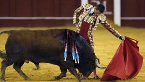 Del triple triunfo en Sanlúcar a la cornada de Tulio Salguero
