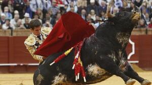 Mucho plomo y poco oro