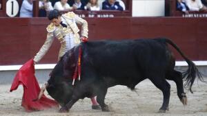 Cuando no hay toro, no hay nada