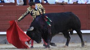 Antonio Ferrera pone Las Ventas como un volcán
