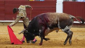 Un soberbio Juli indulta a «Golfo» en una monstruo triunfal