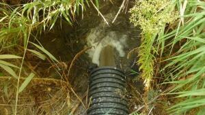 WWF denuncia los vertidos de las cloacas de tres pueblos onubenses a Doñana