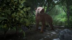Cómo la vida en la Tierra resurgió de las cenizas de los dinosaurios