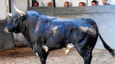 Directo: Castella, Ureña y Roca Rey, en la Corrida de la Cultura