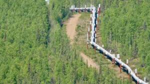 Un gas inviable
