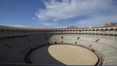 La puntilla a los toros