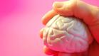 Verdadero o falso: ¿Son ciertos estos mitos sobre el cerebro?