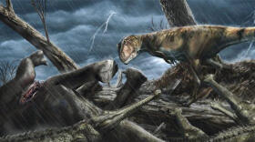 El lugar más peligroso de la Tierra