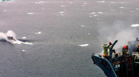 Reconocen, por fin, el quinto océano de la Tierra