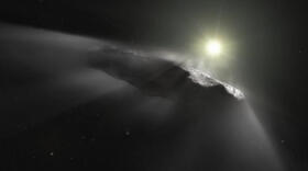 ¿Se formó la Tierra a partir de objetos interestelares como Oumuamua?