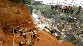 La vida violenta de los hombres de Atapuerca