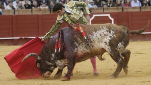 Mucho plomo y poco oro