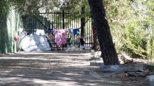 Desmantelan chabolas y tiendas ilegales junto al río y el Alamillo