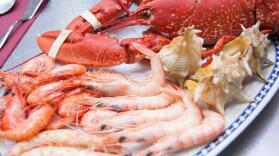 Cervecería Pepe Cruz "Casa Pepito"