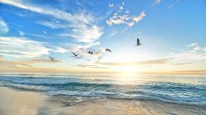 Cómo conectar con el mar y la naturaleza a través de la meditación