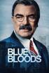 Blue Bloods (Familia de policías) - Fin de la visita