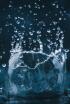La pluja: El relat mai explicat
