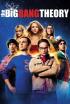 Big Bang Theory - La indecisión de la amalgamación