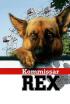 Rex, un policía diferente - Uno siempre muere