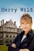 Harry Wild - Cuando Harry conoció a Fergus