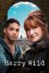 Harry Wild - Episodio 1