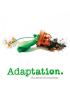 Adaptation. El ladrón de orquídeas