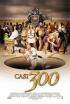 Casi 300