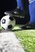 Copa Mundial de Clubes 2014