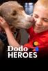 Dodo Heroes