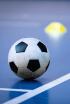 Primera Divisió de Futbol Sala