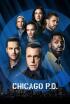 Chicago P.D. - Nueva guardia
