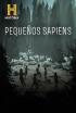 Pequeños sapiens