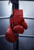 WAR MMA Alicante