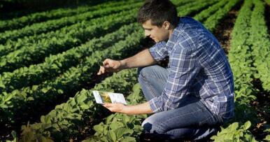 Así podrás estar al día de todo lo que afecte a tus cultivos y ganados