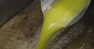 Mala defensa del oro verde