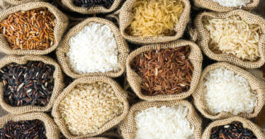 Los arroceros sevillanos celebran los aranceles al arroz asiático