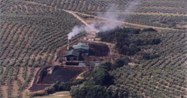 La industria orujera pide que las almazaras bajen el ritmo actual