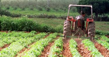 El Ifapa pone el foco en la trazabilidad la producción ecológica
