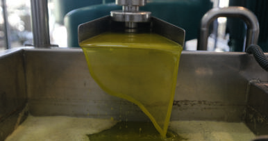 Las almazaras apenas almacenan el 22% del aceite de oliva producido en esta campaña