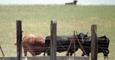 ¿Cómo afectaría el acuerdo con Mercosur a los agricultores de Málaga?