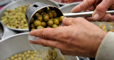 Manuel Guillén: «La manzanilla y la gordal son las que han dado fama a las aceitunas de España»