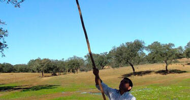 El «mesías» de las dehesas que multiplica la biodiversidad